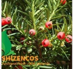 Chiết xuất cây thông - Gia công Mỹ Phẩm - Thực Phẩm Chức Năng SHIZENCOS <br> Công Ty TNHH Hóa Dược Shizencos